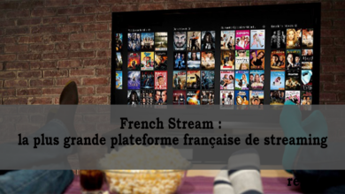 French Stream : l'extraordinaire plateforme de streaming français