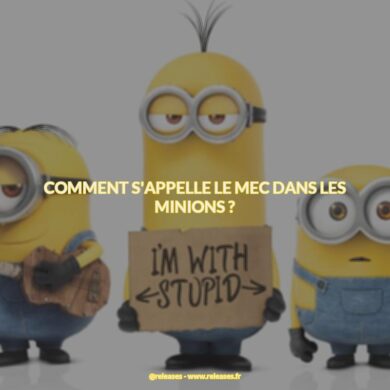 Comment s'appelle le mec dans les minions ?