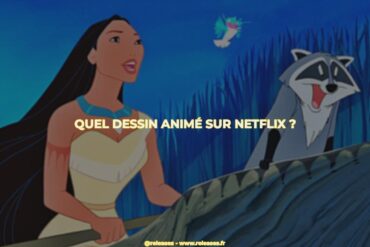 Quel dessin animé sur netflix ?