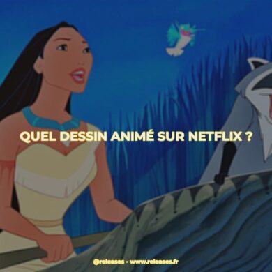 Quel dessin animé sur netflix ?