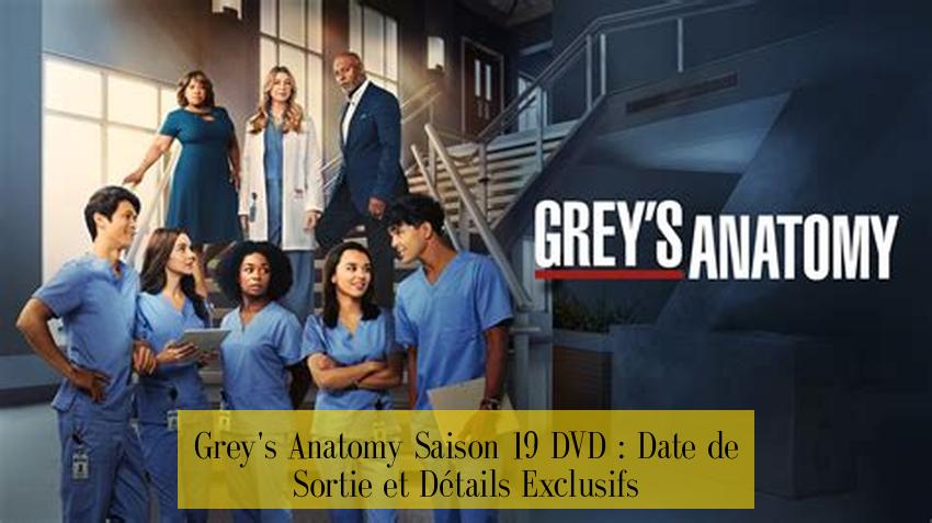 Grey's Anatomy Saison 19 DVD : Date de Sortie et Détails Exclusifs