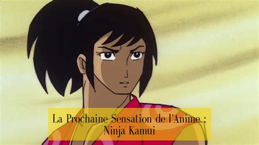 La Prochaine Sensation de l'Anime : Ninja Kamui