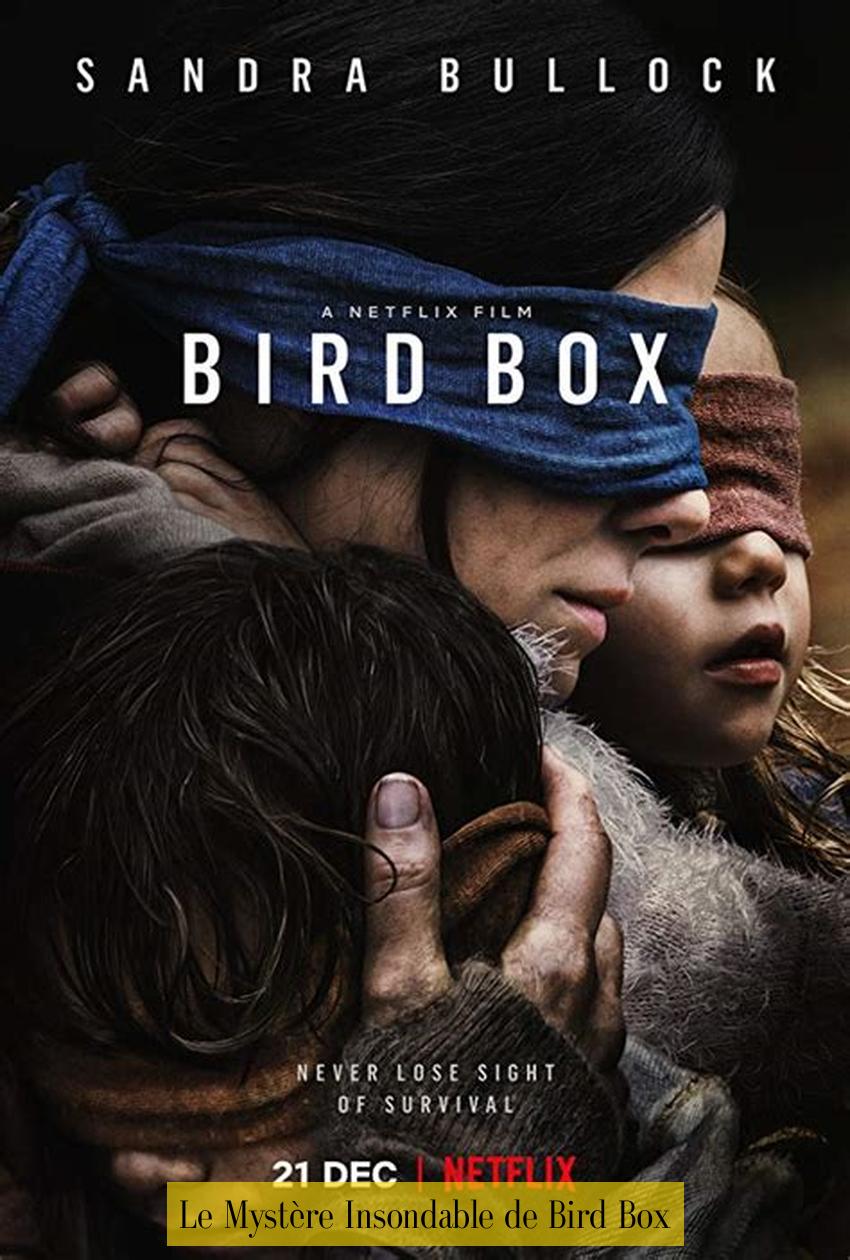 Le Mystère Insondable de Bird Box