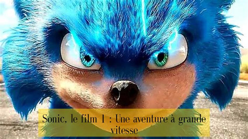 Sonic, le film 1 : Une aventure à grande vitesse