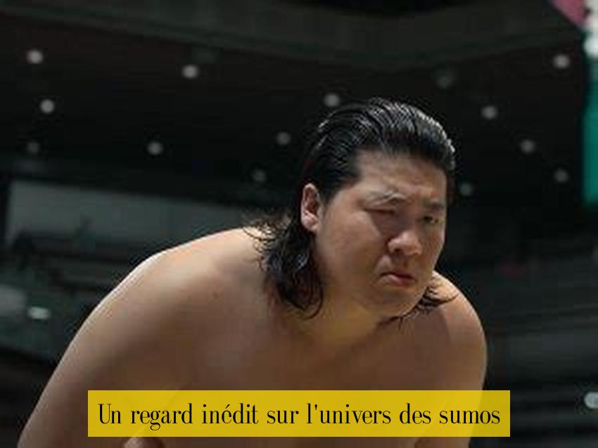 Un regard inédit sur l'univers des sumos