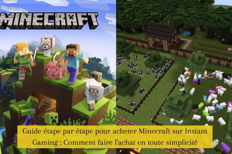 Guide étape par étape pour acheter Minecraft sur Instant Gaming : Comment faire l'achat en toute simplicité